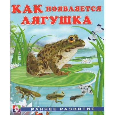 Гурина И. Как появляется лягушка