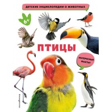  Птицы