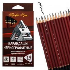 Карандаш ч/г набор дерево 14шт-6Н,4Н,2Н,НВ,В,2В,3В,4В,5В,6В,7В,8В,10В,12В заточенные, трехгр. Профи-Арт